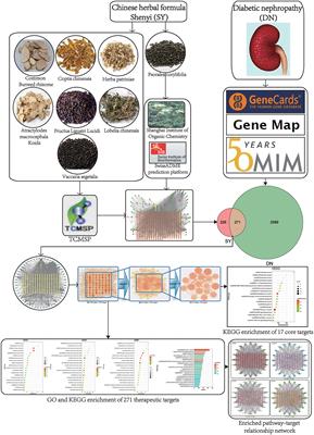 Network Pharmacology-Based Investigation of the Molecular Mechanisms of the Chinese Herbal Formula Shenyi in the Treatment of Diabetic Nephropathy